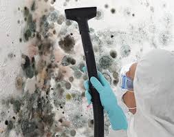 Why You Should Choose Our Mold Remediation Services in Oakdale, CA